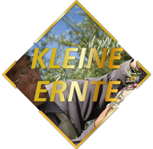 MN TibexZELLenz - Limited Edition - Kleine Ernte